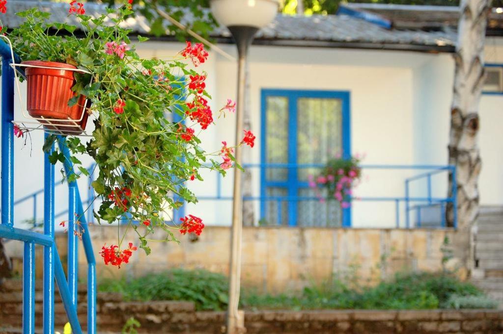 Комплекс Белите Къщи Shtarkelovo Gnezdo Exteriör bild