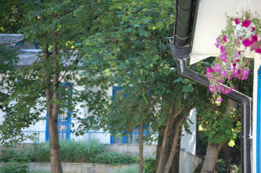 Комплекс Белите Къщи Shtarkelovo Gnezdo Exteriör bild